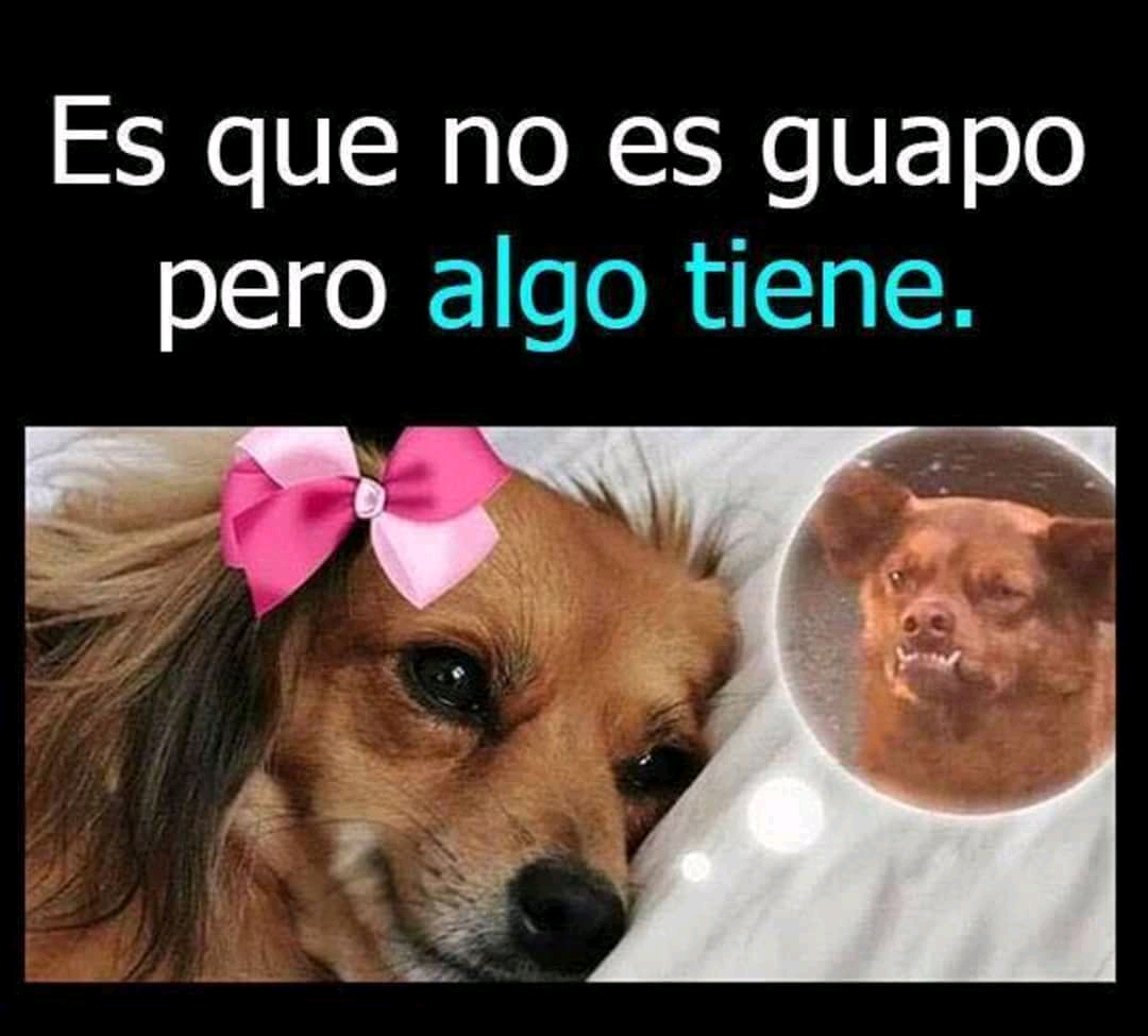 El link de la
          imagen se ha roto, pon los monos a trabajar!